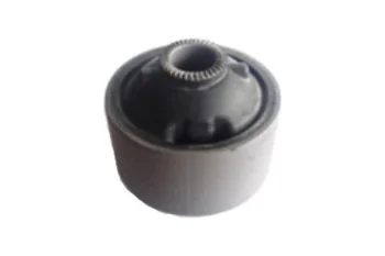 SALINCAK BURCU, ARKA