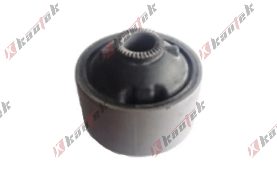 SALINCAK BURCU, ARKA