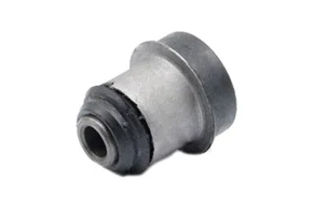 SALINCAK BURCU BUYUK DIS UST