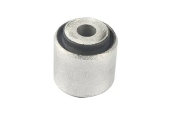 SALINCAK DENGE KOL BURCU, ARKA