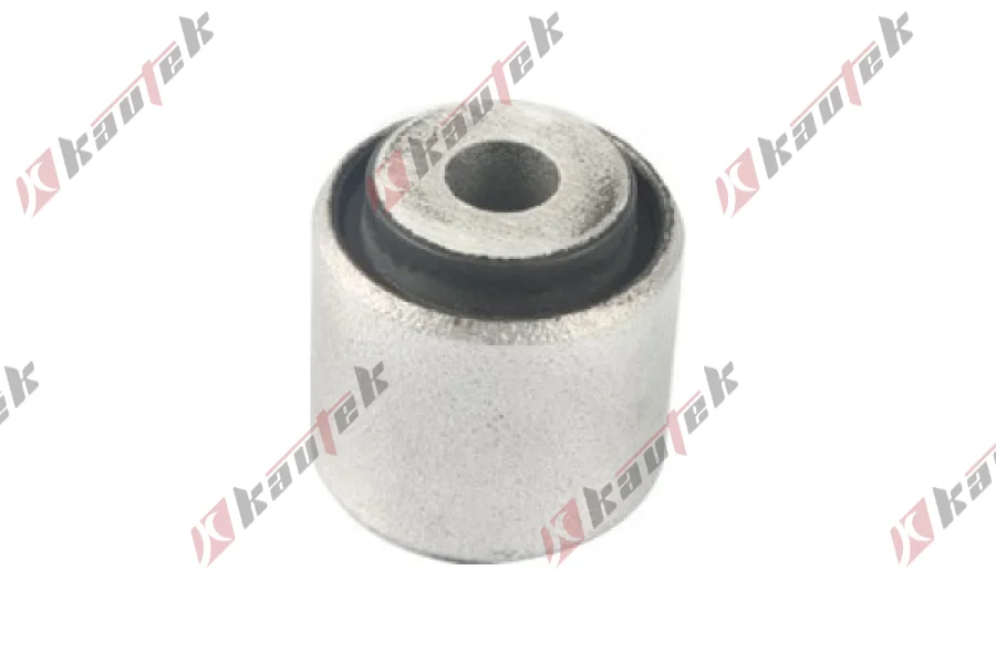 SALINCAK DENGE KOL BURCU, ARKA