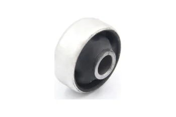 SALINCAK BURCU BUYUK