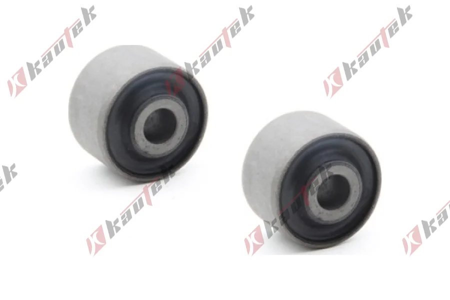 DENGE KOL BURCU ARKA