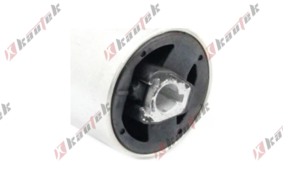 SALINCAK BURCU, YAGLI ON