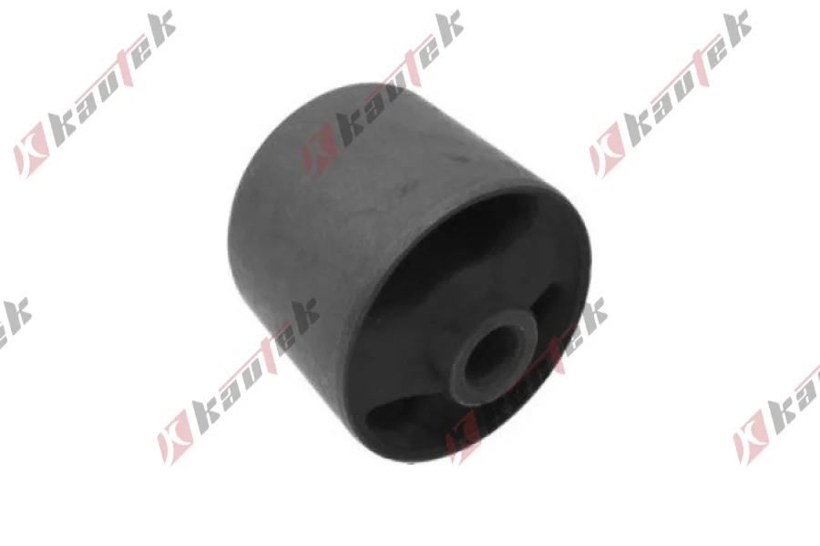 SALINCAK DENGE KOL BURCU, ARKA