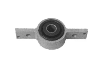 SALINCAK BURCU BUYUK