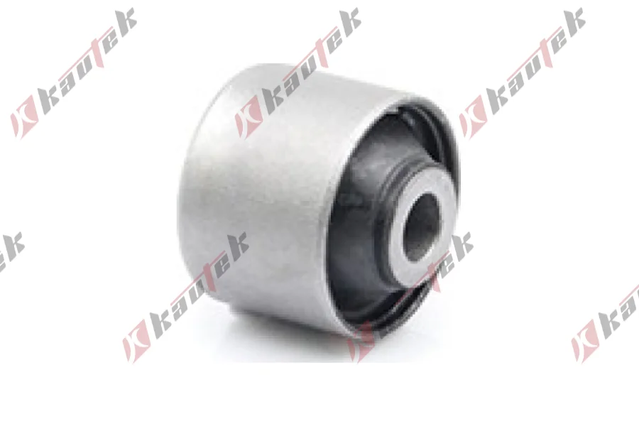 SALINCAK DENGE KOL BURCU, ARKA