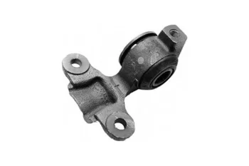 SALINCAK BURCU BUYUK SAG