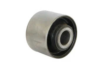 SALINCAK DENGE KOL BURCU, ARKA