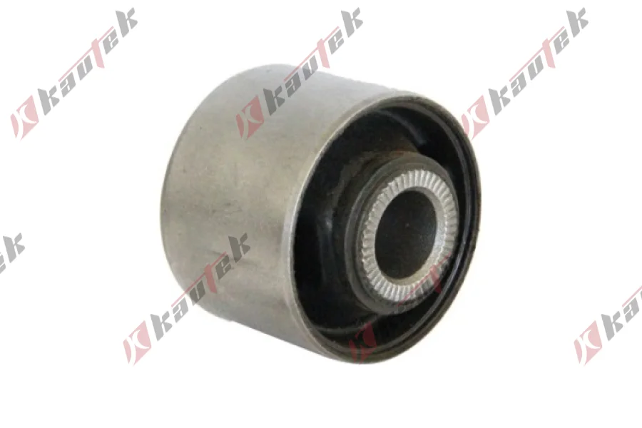 SALINCAK DENGE KOL BURCU, ARKA