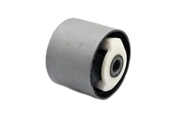 SALINCAK DEBGE KOL BURCU, UST ARKA