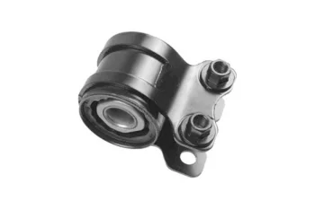 SALINCAK BURCU ARKA BUYUK