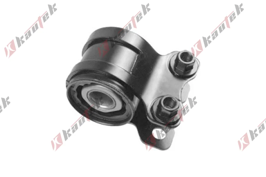 SALINCAK BURCU ARKA BUYUK