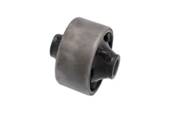 SALINCAK DENGE KOL BURCU, ARKA