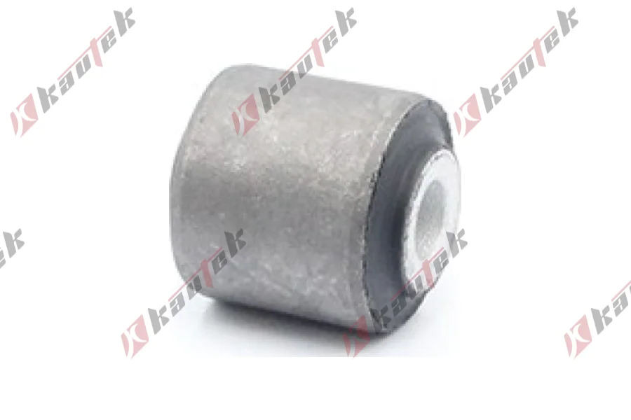 DENGE KOL BURCU ARKA