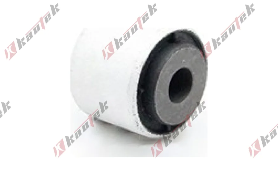 SALINCAK DENGE KOL BURCU, ARKA