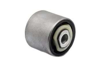 SALINCAK BURCU BUYUK