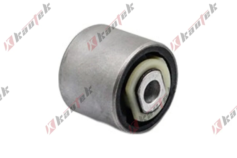 SALINCAK BURCU BUYUK