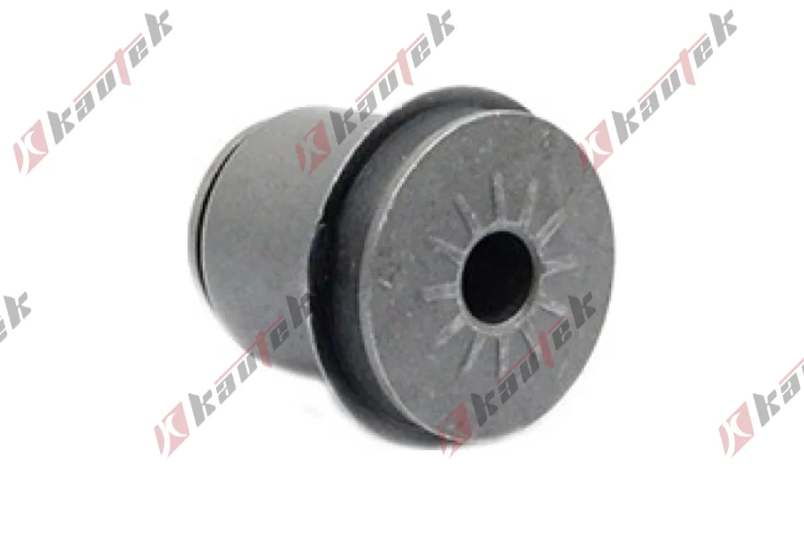 DENGE KOL BURCU, UST