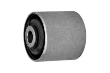 SALINCAK DENGE KOL BURCU, ARKA UST