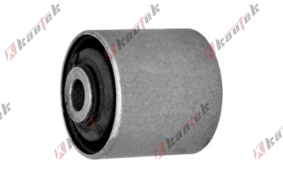 SALINCAK DENGE KOL BURCU, ARKA UST