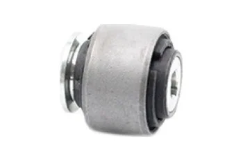 SALINCAK - DENGE KOLU BURCU, ARKA