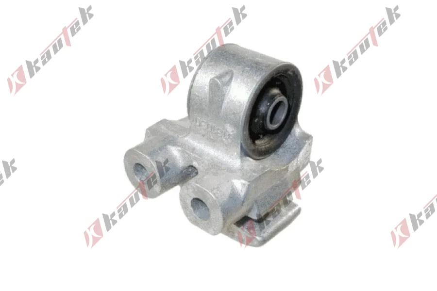 SALINCAK - DENGE KOLU BURCU, ARKA