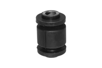 SALINCAK BURCU ORTA KUCUK