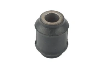 SALINCAK BURCU, ARKA