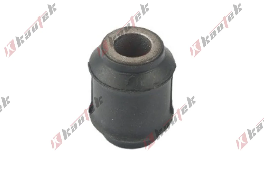 SALINCAK BURCU, ARKA