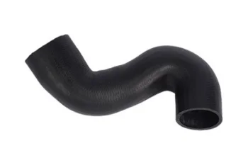 TURBO HORTUMU, MERKEZ