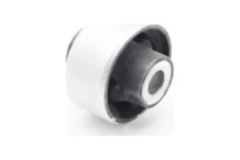 SALINCAK BURCU BUYUK