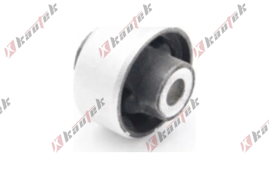 SALINCAK BURCU BUYUK