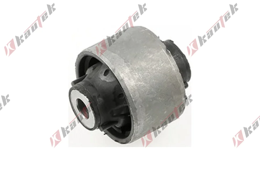 SALINCAK BURCU, BUYUK