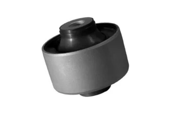 SALINCAK BURCU ARKA BUYUK