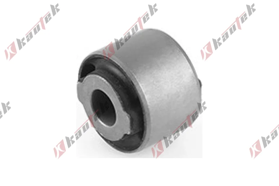 ARKA SALINCAK BURCU, ARKA