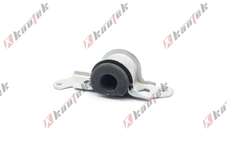 SALINCAK BURCU ARKA BUYUK SAG