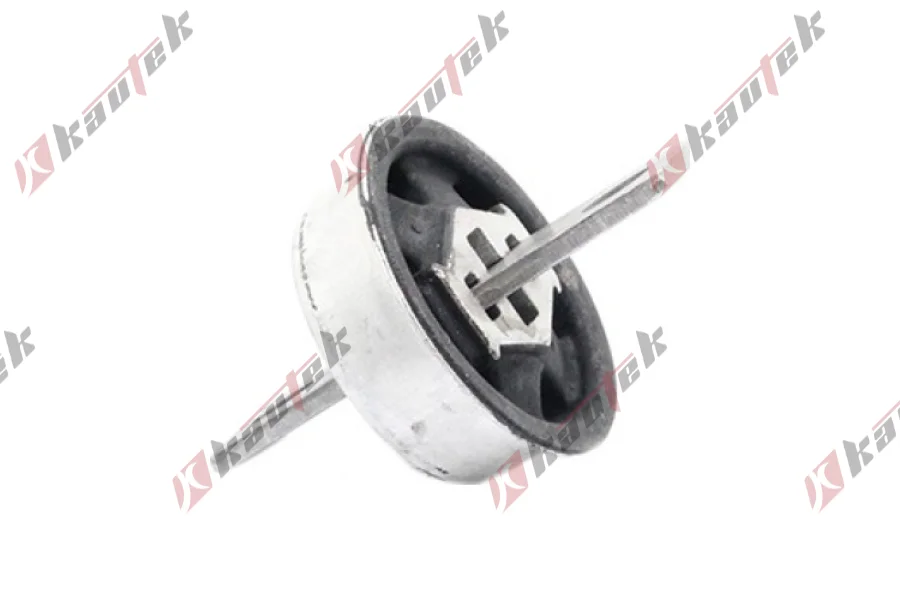 DENGE KOLU BURCU, ARKA