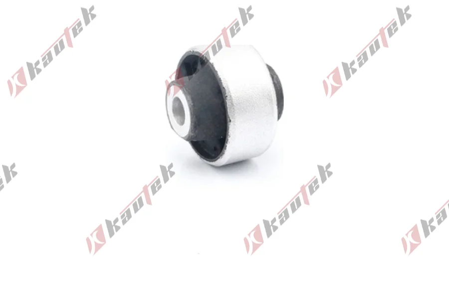 SALINCAK BURCU BUYUK