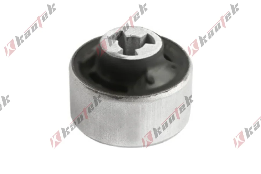 SALINCAK DENGE KOL BURCU , ON