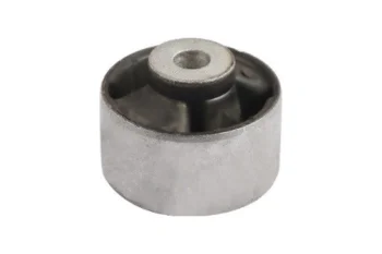 SALINCAK DENGE KOL BURCU, ARKA SAG UST