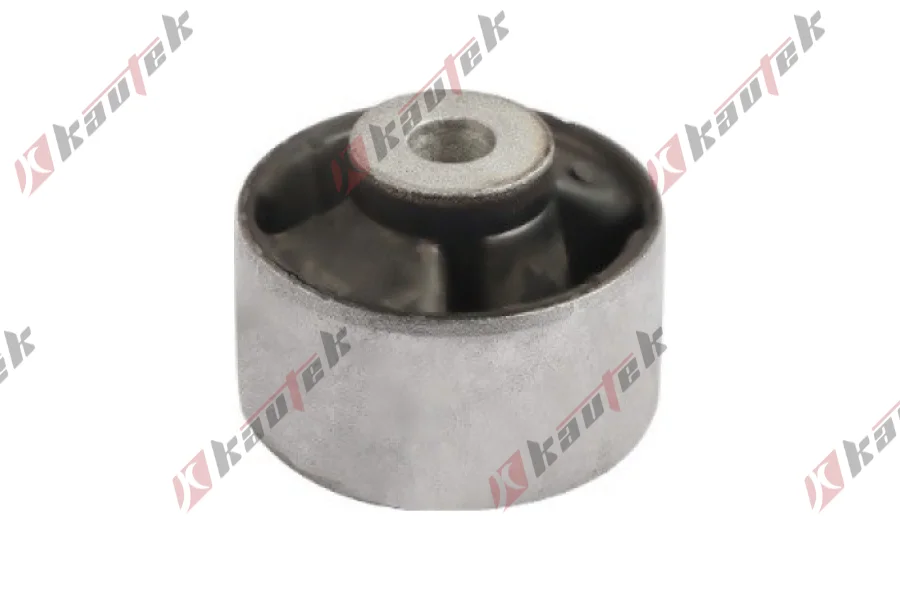 SALINCAK DENGE KOL BURCU, ARKA SAG UST