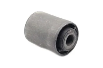 SALINCAK BURCU, ARKA