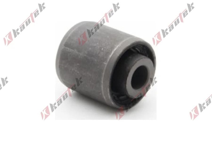 SALINCAK BURCU ARKA BUYUK