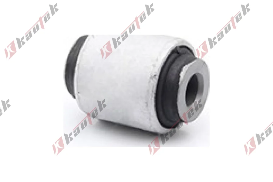 SALINCAK-/DENGE KOLU BURCU, ARKA SAG / SOL