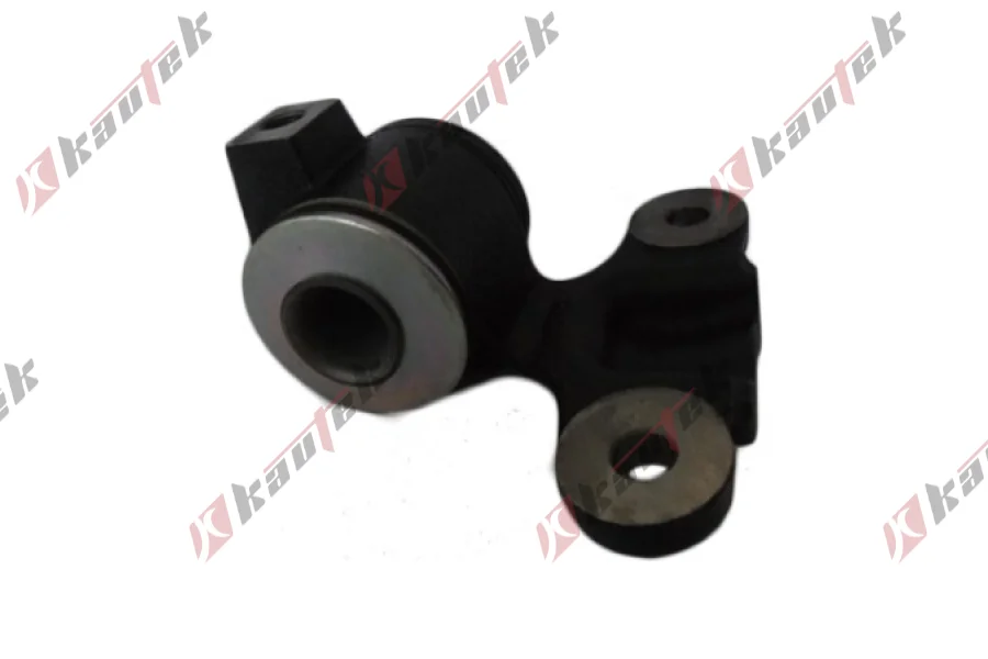 SALINCAK BURCU BUYUK SAG