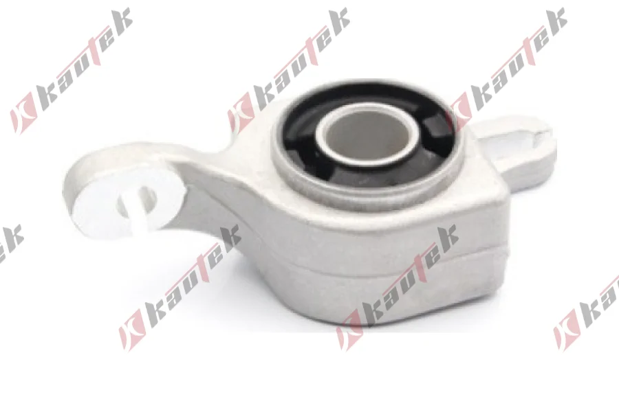 SALINCAK BURCU, ON IC SOL