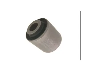 SALINCAK DENGE KOL BURCU, ARKA