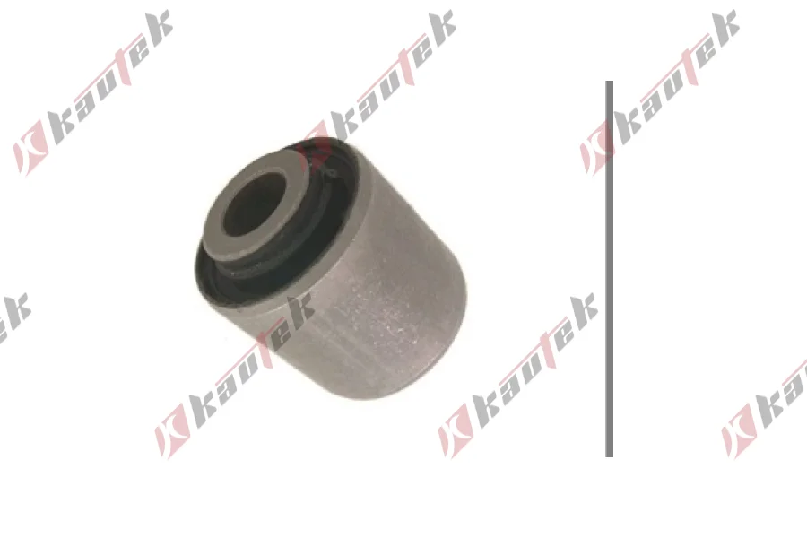 SALINCAK DENGE KOL BURCU, ARKA