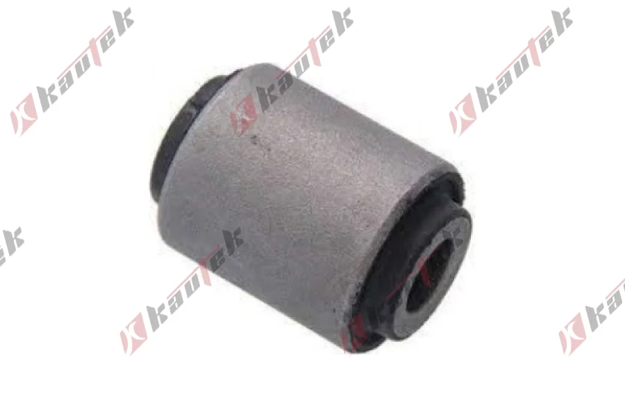 SALINCAK DENGE KOL BURCU, ARKA